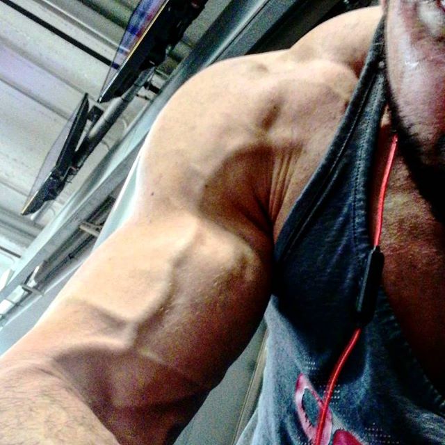https://www.instagram.com/savoia_training_studio_milano/